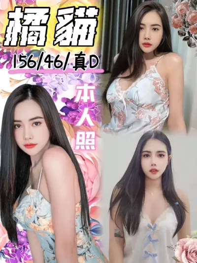 台中定點茶-橘貓